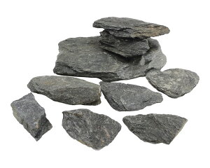 yJ~n^zANAEbN (ӂ)CAEgZbg@_{