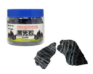 yJ~n^zv`ANA̐ () 500g@_{