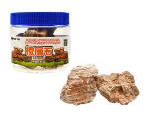 yJ~n^zv`ANA̐ w(Ƃ) 400g@_{