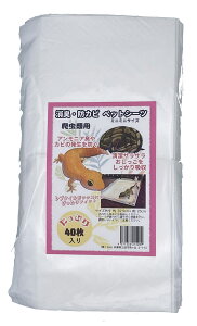 yANVYzLEhJr ybgV[c~j~j 40@Axiz