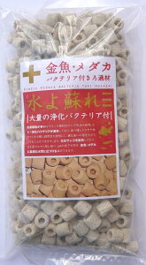 yANVYzE_J̃oNeAtߍ 㕔EOp@Axiz