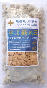 yANVYzMыẼoNeAtߍ 㕔EOp@Axiz