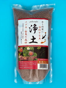 yANVYzYɂy y F 1L@Axiz