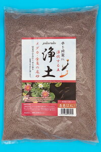 yANVYzYɂy y F 2.4L@Axiz