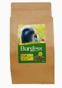 yfB}zGNZ rbgA_g 500g Burgess Excel medimal yo[WFX@ETM@H@t[h@\tgybgz