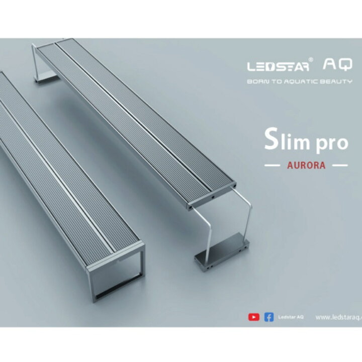 楽天市場】○【LEDSTAR】Slim Pro 60 アーチリテイルズ AQSpro60 【LED 