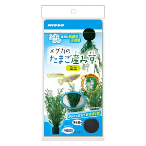 yjb\[z_Ĵ܂Yݑ ~jyNISSOz