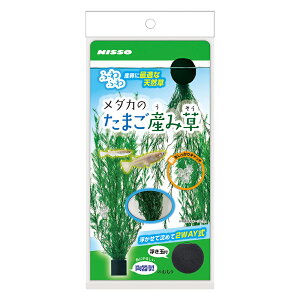 yjb\[z_Ĵ܂YݑyNISSOz