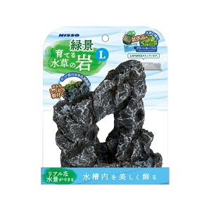 yjb\[zΌiEĂ鐅̊ LyNISSOz