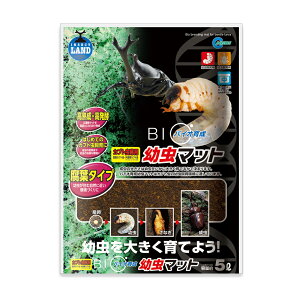 y}JzoCI琬 c}bg 5L@M-704y JugV NK^Vz