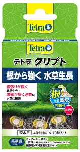 yegzeg Nvg 10@XyNg uY Wp