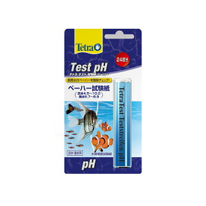 yegzeg eXgy[n[iWECj@XyNg uY Wp