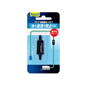 yegzeg th~ou@XyNg uY Wp