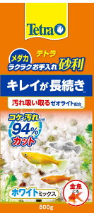 yegzeg _J NNꍻ zCg~bNX 800g@XyNg uY Wp