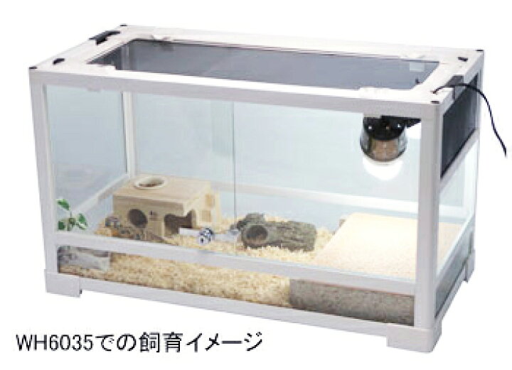 楽天市場】○【三晃商会】パンテオン ホワイト WH6045 E03【サンコー 
