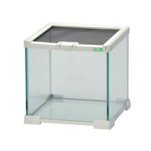 yOWzOX][ 20WH E23yTR[ P[W P[X ez