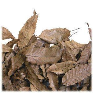 yOWz͗t}bg 027 TR[y  JugV NK^V B ]|h~z