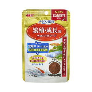 yWFbNXz_JC ɐBEp voCIt[h 40gyGEXz