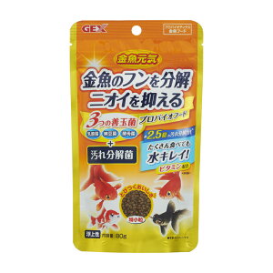 yWFbNXzC voCIt[h 80gyGEXz