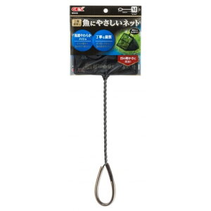 yGEXzɂ₳lbg MyWFbNXz