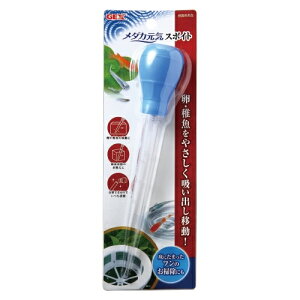 ���yGEX�z���_�J���C �X�|�C�g�y�W�F�b�N�X �|���z