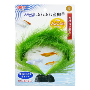 yGEXz_Ji ӂӂY ~yWFbNXz