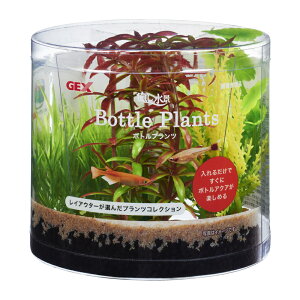 yGEXzi {gvc ^yWFbNXz