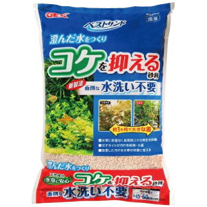 yGEXzxXgTh 6LyWFbNXz