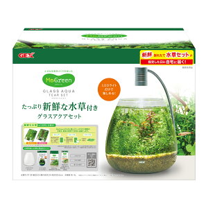 yGEXzMeGreen VNȐt OXANAeBA[ZbgyWFbNX z