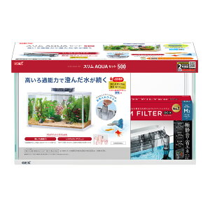 yGEXzXANAZbg 500yWFbNX z