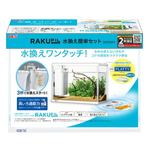 yGEXzNtBȒPZbg 300WHyWFbNX z