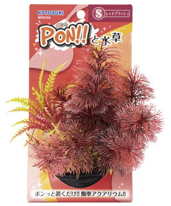 yRguLzPON!!Ɛ PON-S bhubVyKOTOBUKI  lHz