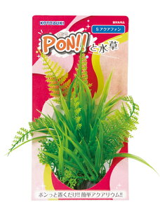 yRguLzPON!!Ɛ PON-S ANAt@yKOTOBUKI  lHz