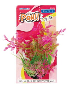 yRguLzPON!!Ɛ PON-S bh[tyKOTOBUKI  lHz