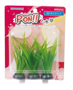 yRguLzPON!!Ɛ PON-SS hEBWAyKOTOBUKI  lHz