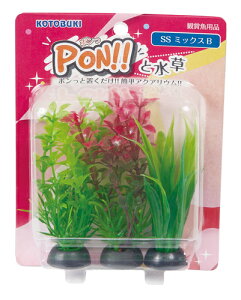 yRguLzPON!!Ɛ PON-SS ~bNXByKOTOBUKI  lHz