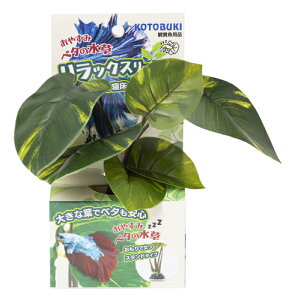 yRguLzx^̐ X^h^CvyKOTOBUKI  lHz