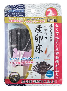 yRguLz炵Ƀ_J Ȃ Y  2yKOTOBUKIz