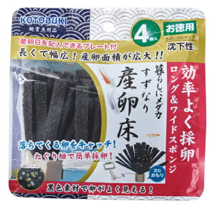 yRguLz炵Ƀ_J Ȃ Y  4yKOTOBUKIz