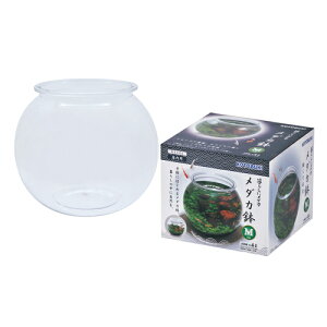 yRguLz炵Ƀ_J _J MyKOTOBUKIz