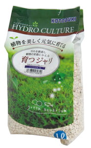 yRguLzW nCh[I 1LyKOTOBUKI O[ANAEz