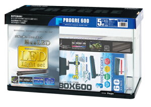 yRguLzvO600 5_ LEDyKOTOBUKI  Zbgz