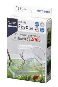 yRguLz~jLED s[X zCgyKOTOBUKI Cg Ɩ LEDz