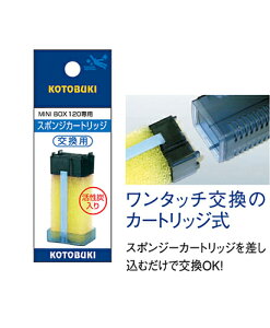 ���y�R�g�u�L�z�X�|���W�J�[�g���b�W�yKOTOBUKI ��� �t�B���^�[�z