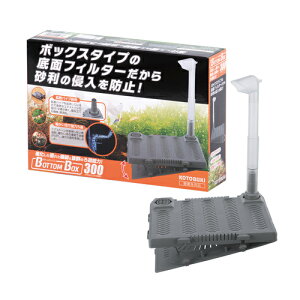 yRguLz{g{bNX300yKOTOBUKI  tB^[ ʁz