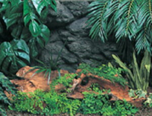 yRguLzт̐_ A}]600yKOTOBUKI obNXN[z