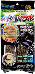 ytWRzW{؁@F-207@Fujikon