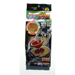 ytWRzChJbv[[pGTM@C-113@Fujikon