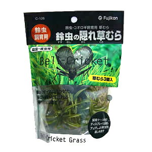 ytWRz钎̉Bꑐނ 4RZbg × 30@G-126@Fujikon XYV