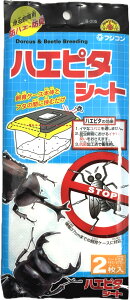 ���y�t�W�R���z�����̃n�G�s�^�V�[�g 2������@B-205�@Fujikon